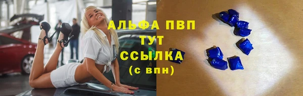 шишки Нязепетровск
