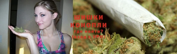 шишки Нязепетровск
