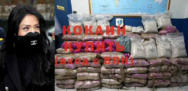 шишки Нязепетровск