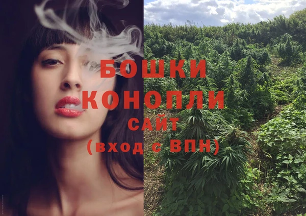 шишки Нязепетровск