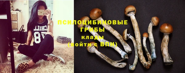 шишки Нязепетровск