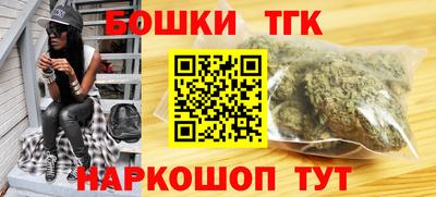индика Аргун