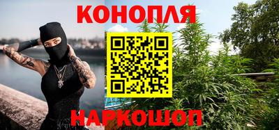 индика Аргун