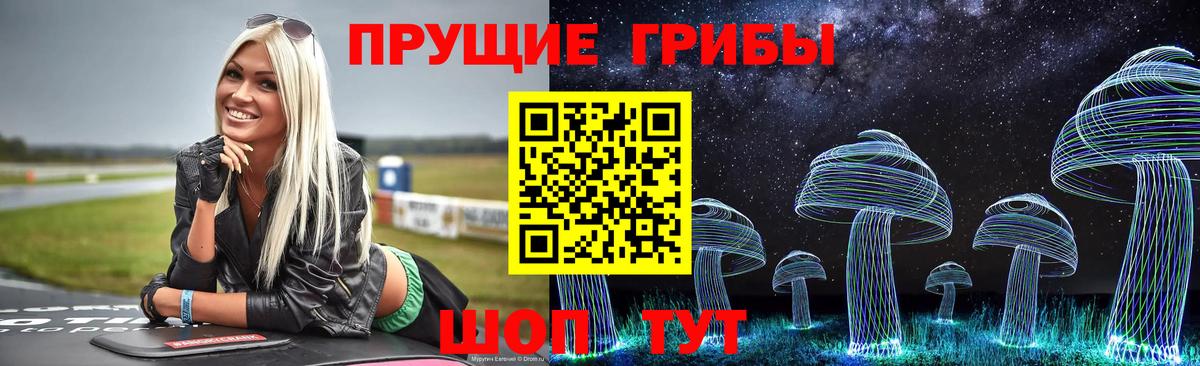 Галлюциногенные грибы Psilocybe Ахтубинск