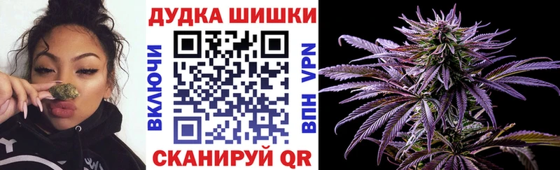 Шишки марихуана OG Kush мориарти Telegram Ахтубинск хочу